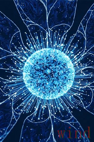 星空科技控股品牌动态与资讯解读